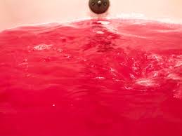 Harry Potter image 4