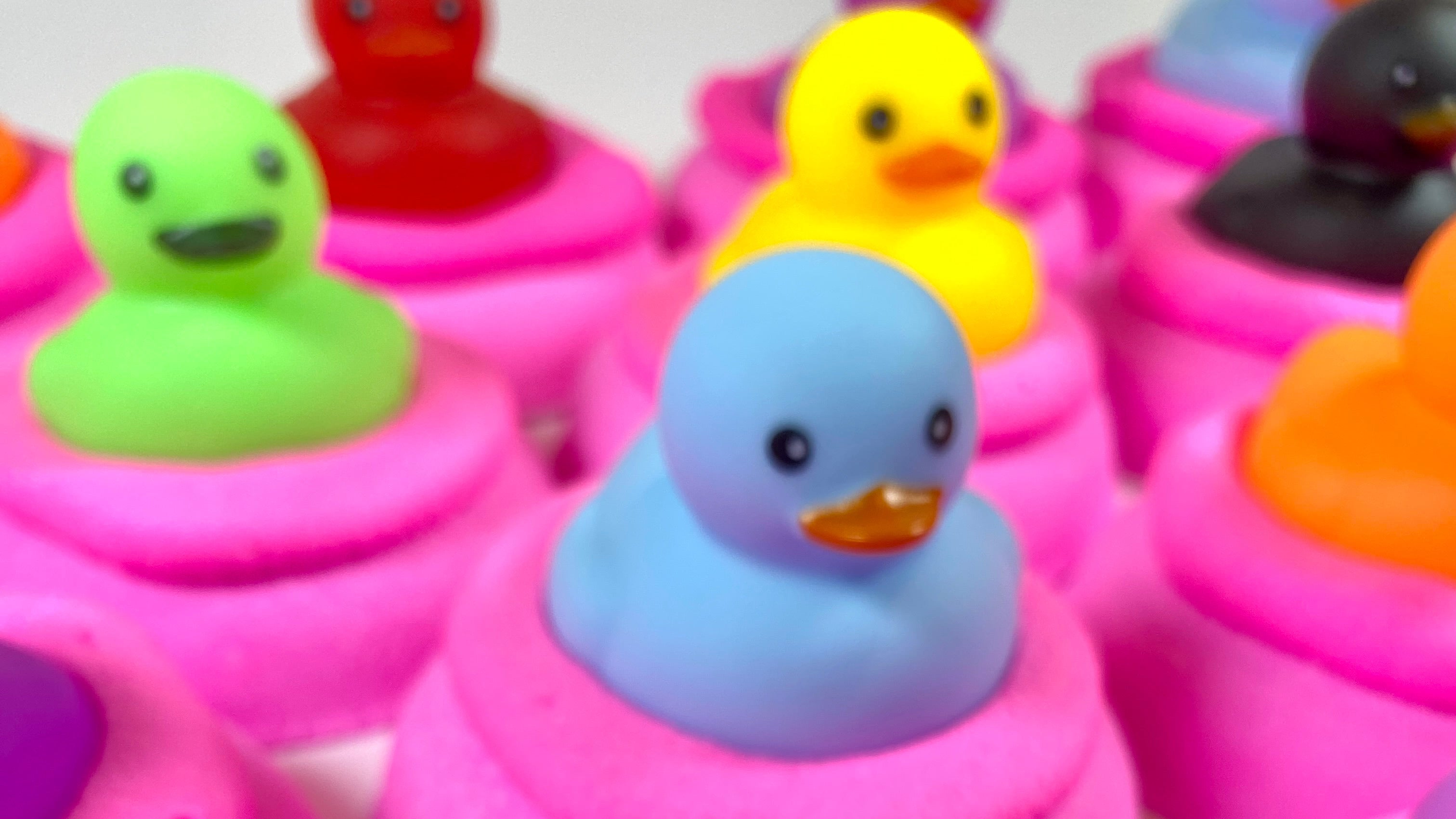 Duckie on Donut image 2